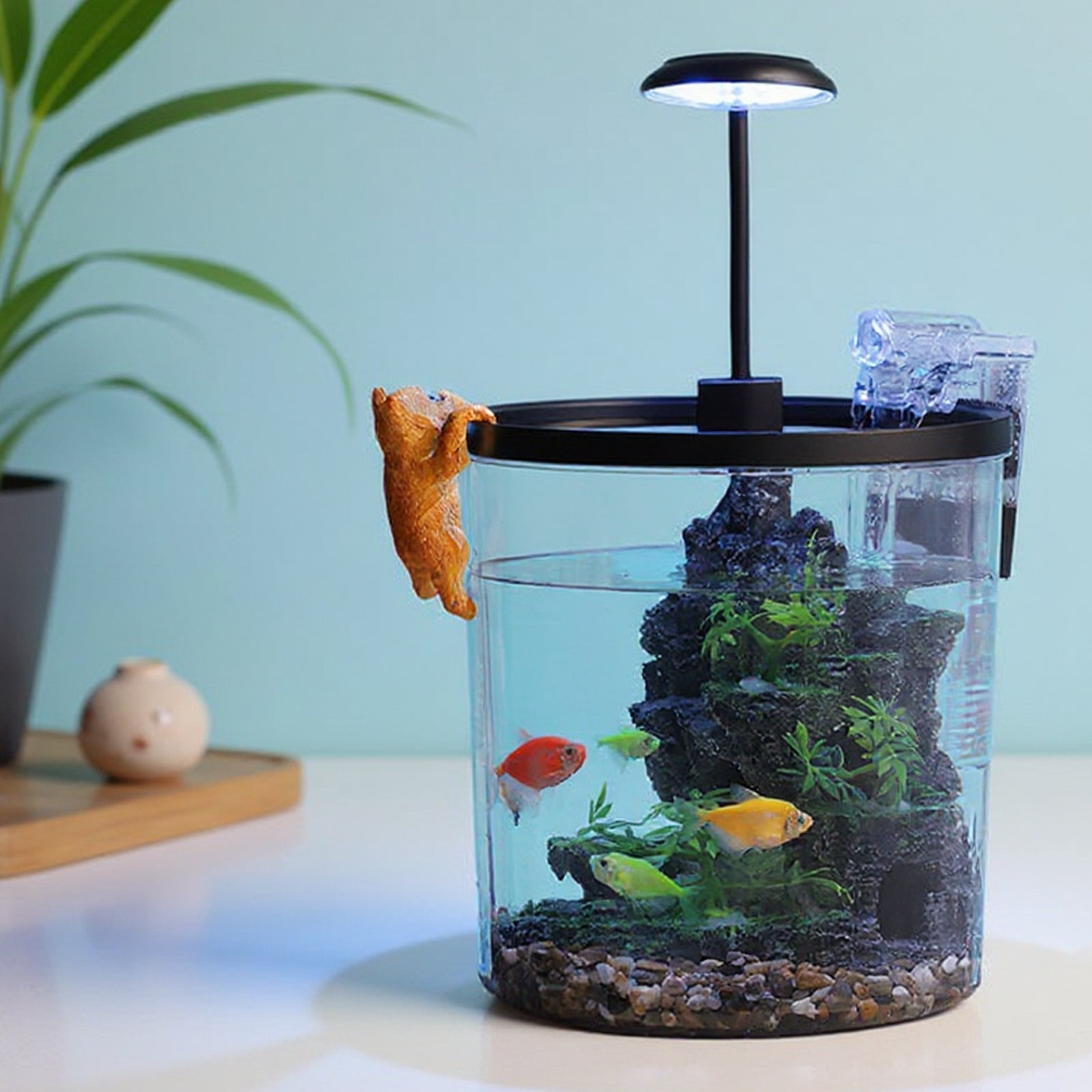 Garvee Mini Desktop Fish Tank Kit – 1.5/2.3/2.5 Gallon Plastic Aquarium Starter Set with Silent Filter, LED Light & Oxygen Generator – Ideal Betta & Goldfish Tank for Home/Office – Black (Round Desktop Landscape Tank Deluxe Edition)