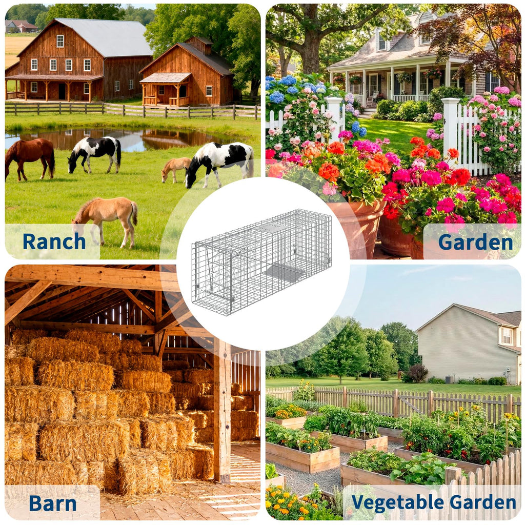 Garvee Heavy Duty Live Animal Trap Cage – Humane, Collapsible Steel, Sensitive Trigger, Easy Assembly – For Stray Cats, Raccoons, Skunks, Groundhogs, Armadillos – 36x10x12 in / 91.5x25.4x30.5 cm