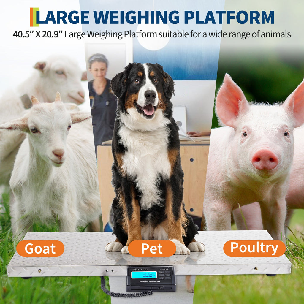 Garvee Digital Livestock Scale – 1100 lbs Capacity Large Veterinary Dog Scale with Non-Slip Steel Platform, Heavy Duty Floor Weight Scale for Goats, Sheep, Pigs, and Farm Animals (Silver)