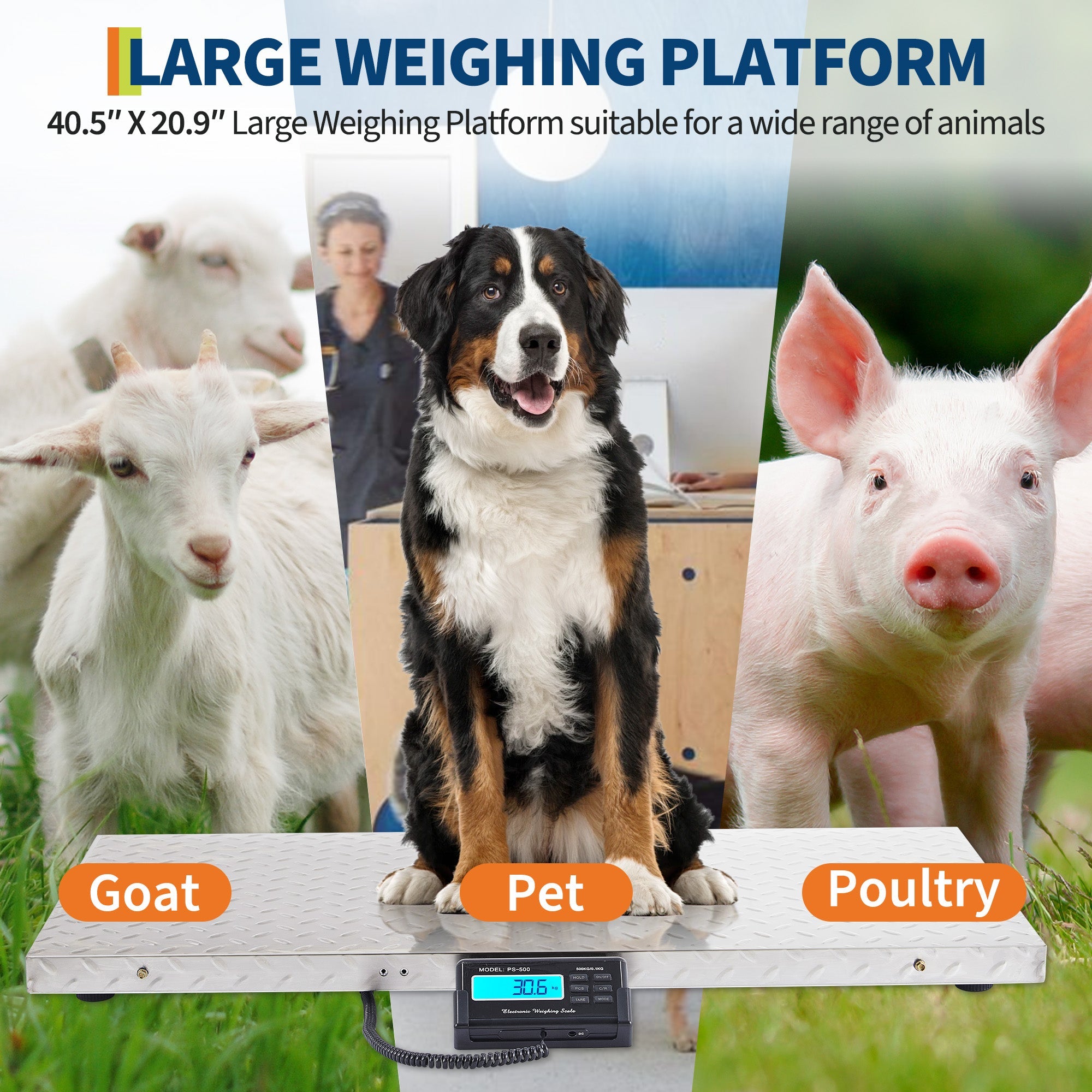 Garvee Digital Livestock Scale – 1100 lbs Capacity Large Veterinary Dog Scale with Non-Slip Steel Platform, Heavy Duty Floor Weight Scale for Goats, Sheep, Pigs, and Farm Animals (Silver)