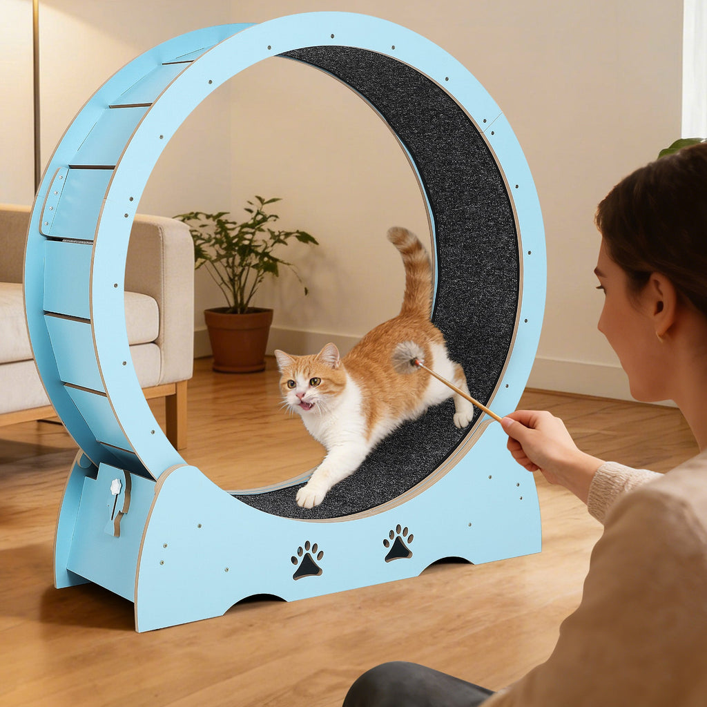 Garvee Low Noise Cat Exercise Wheel – Indoor Wooden Running Treadmill with Removable Carpeted Catwalk, Promotes Healthy Activity & Entertainment, Plume Teaser Toy Included – Mint Green