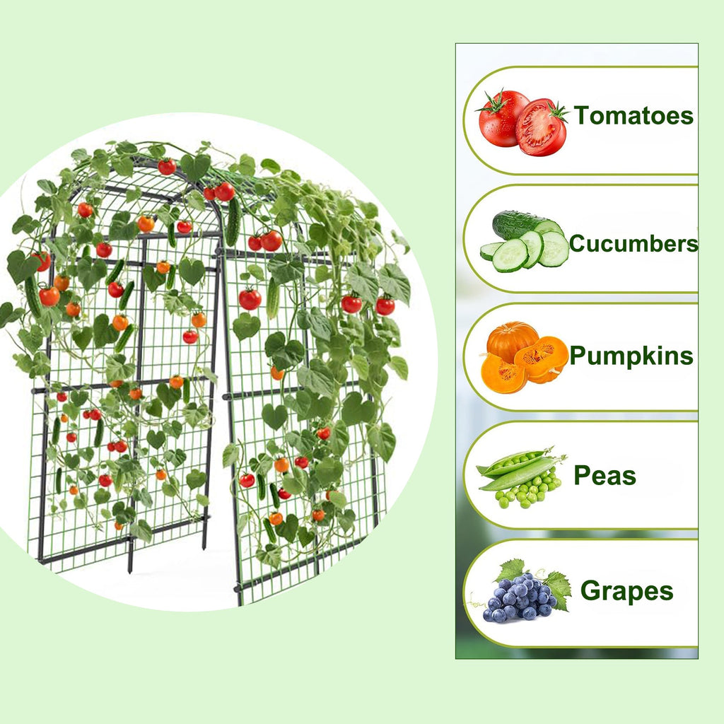 Garvee Cucumber Trellis for Raised Beds, 7 ft Metal Garden Arch Trellis, 39.37" Wide 17.86 lb Arbor with Stakes for Climbing Plants