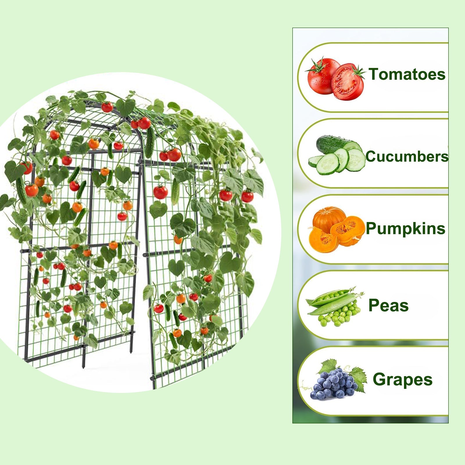 Garvee Cucumber Trellis for Raised Beds, 7 ft Metal Garden Arch Trellis, 39.37" Wide 17.86 lb Arbor with Stakes for Climbing Plants