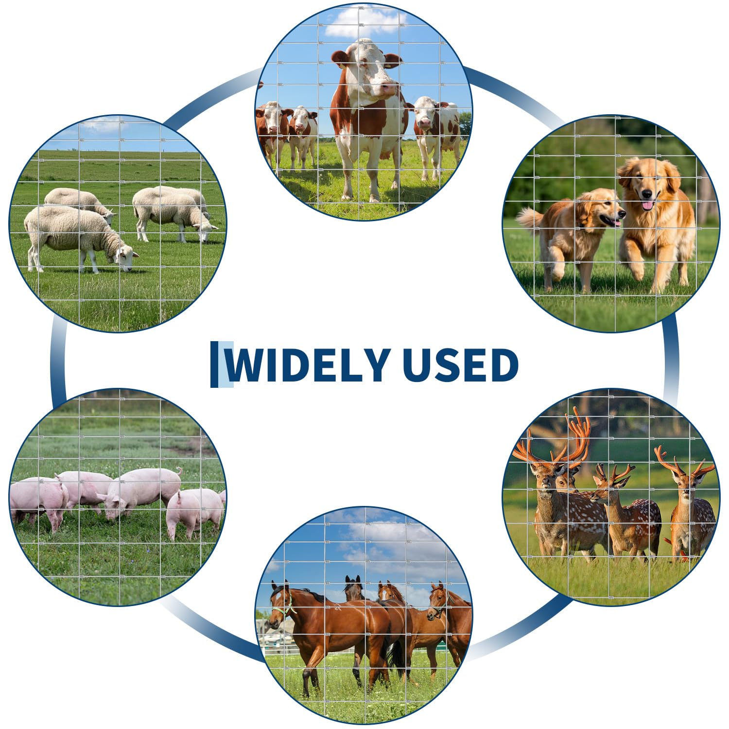 Garvee Farm Fence 6x164 ft, High Strength Galvanized Cattle Fence, Heavy Zinc Coating Wire Fence for Hog, Deer, Goat, Sheep, Weather Resistance, Perfect for Livestock, Animal, Yard, Garden Pr