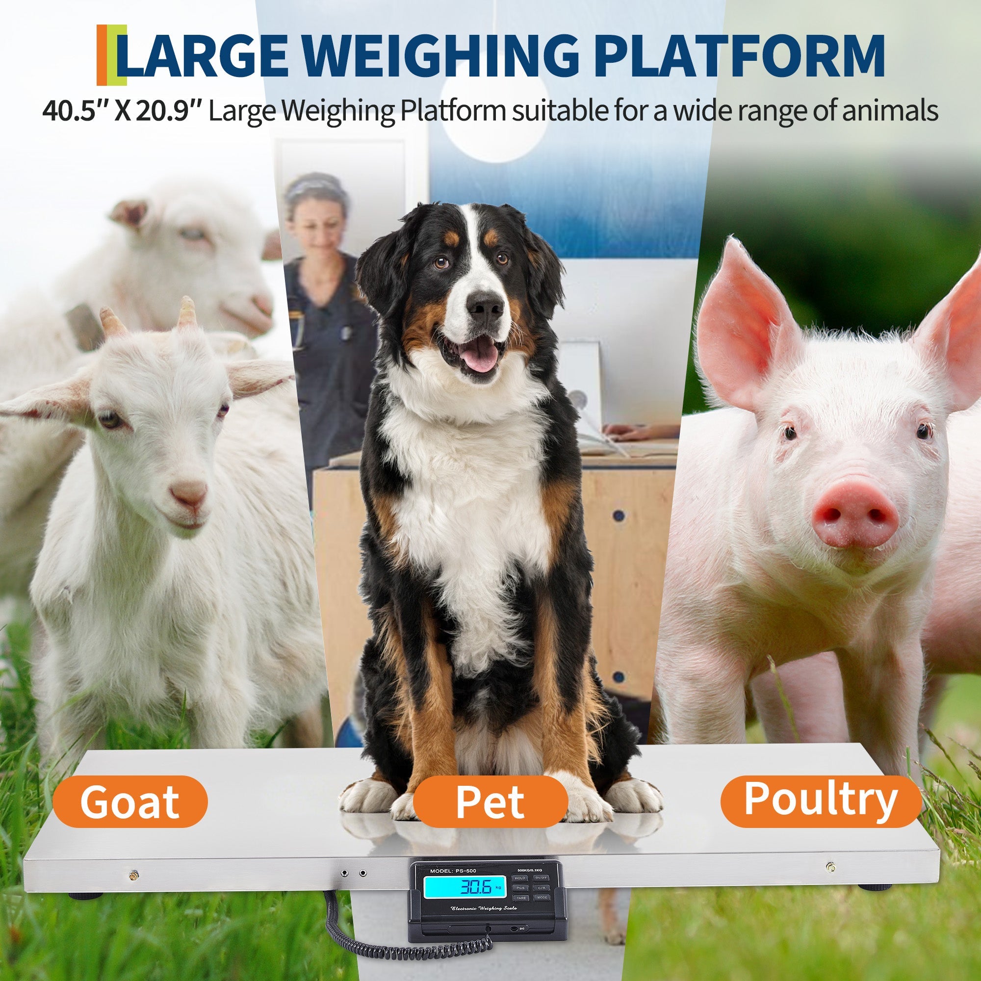 Garvee 1100 lb Pet & Livestock Scale, 40.5" × 20.9" Stainless Steel Platform for Farm and Ranch