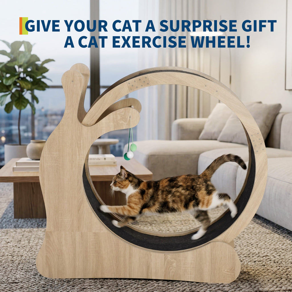 Garvee Cat Wheel Exerciser for Indoor Cats, 45'' Large 3-in-1 Cat Treadmill with Scratching Board and Play Balls, Quiet Cats Running Wheel for Kitty Fitness Wood color