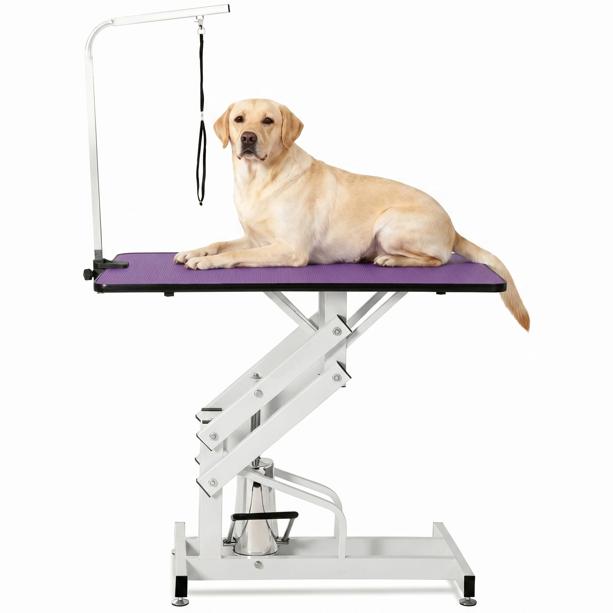 Garvee 42.5" Hydraulic Dog Grooming Table for Pet, Heavy Duty Z-Lift Hydraulic Max Load 350Lbs Professional Pet Grooming Table for Dogs with Adjustable Arm Noose Non-Slip Rubber Surface, Purple