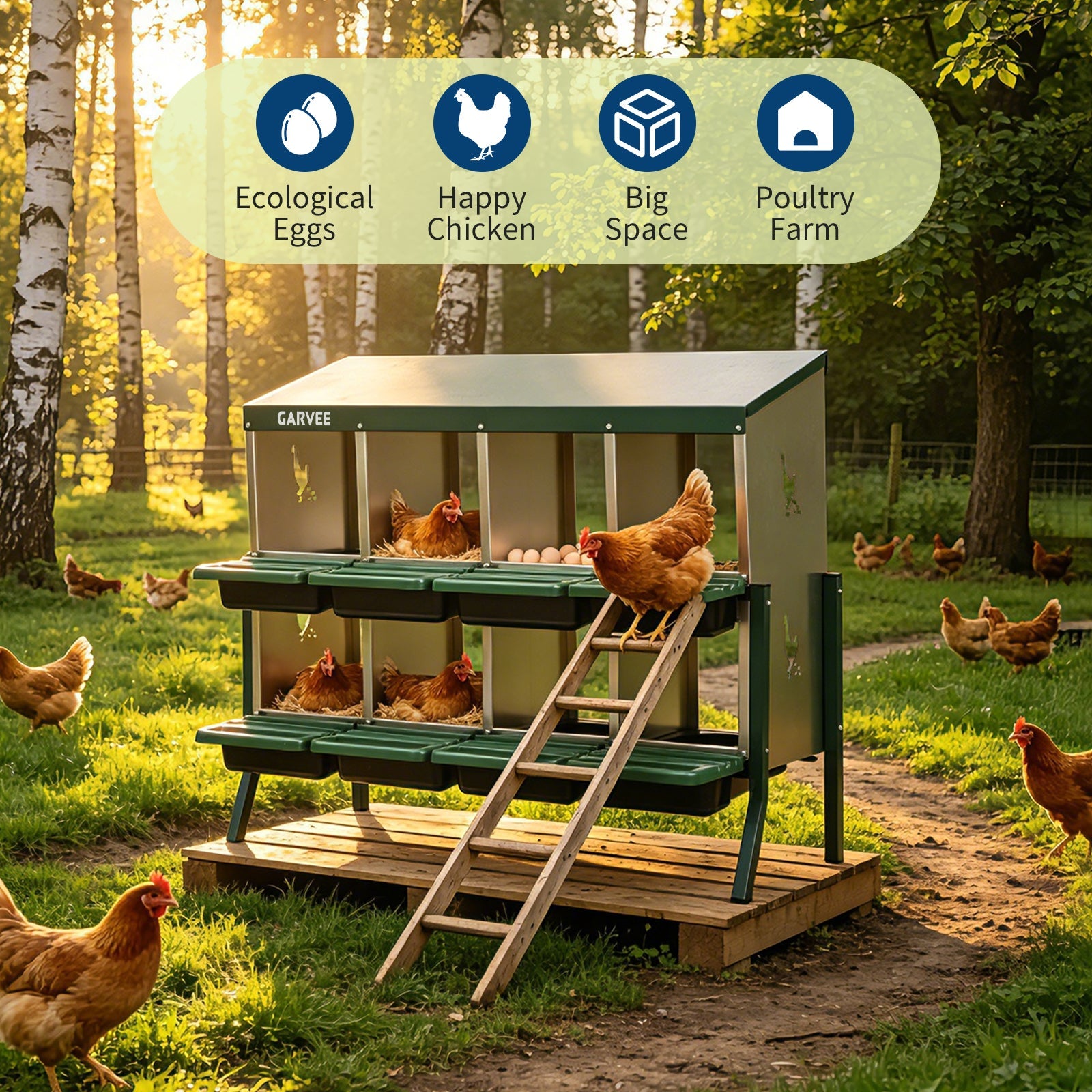 Garvee 8 Compartment Metal Chicken Nesting Box – Galvanized, Ventilated, Roll Away Egg Collection, Removable Tray, Perch, Easy Clean for Hens, Ducks, Geese – Green with Chicken Design – Size: 8 Compartments, Color: Green (Side Chicken Design)