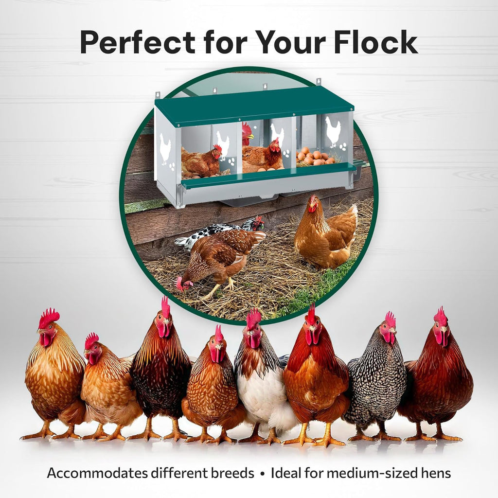 Garvee 3-Compartment Galvanized Metal Chicken Nesting Box – Wall Mounted or Freestanding Laying System for Hens, Chickens, or Ducks – 10 Dampness Pads, 4 Fake Eggs, Perch, Lid Cover – Ventilated & Weatherproof – 3-compartment basic model