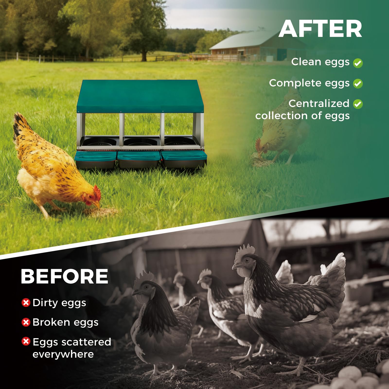 Garvee 3-Compartment Galvanized Steel Chicken Nesting Box – Roll-Away Tray & Support Stand, Green