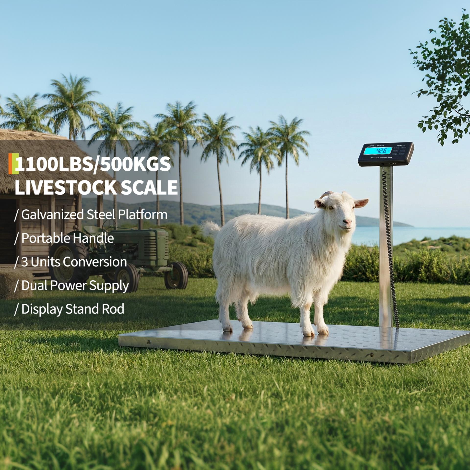 Garvee Digital Livestock Scale – 1100 lbs Capacity Large Veterinary Dog Scale with Non-Slip Steel Platform, Heavy Duty Floor Weight Scale for Goats, Sheep, Pigs, and Farm Animals (Silver)
