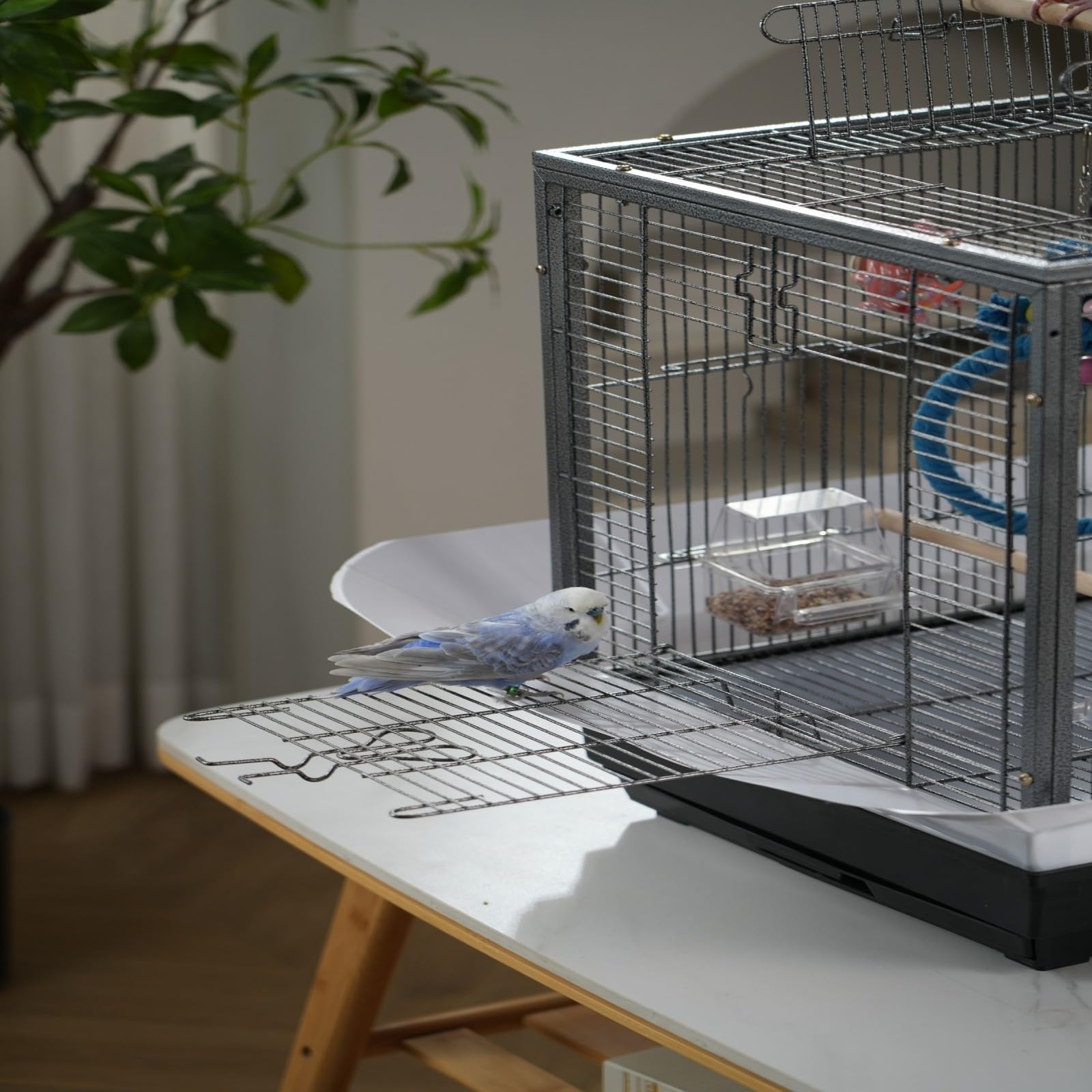 Garvee Portable Metal Bird Cage – 45 x 45 x 60 cm Travel Carrier for Small & Medium Birds, Parakeets, Cockatiels, Budgies, Finches, Parrots – Removable Tray, 2 Perches, Roller Base, Detachable Divider – Black