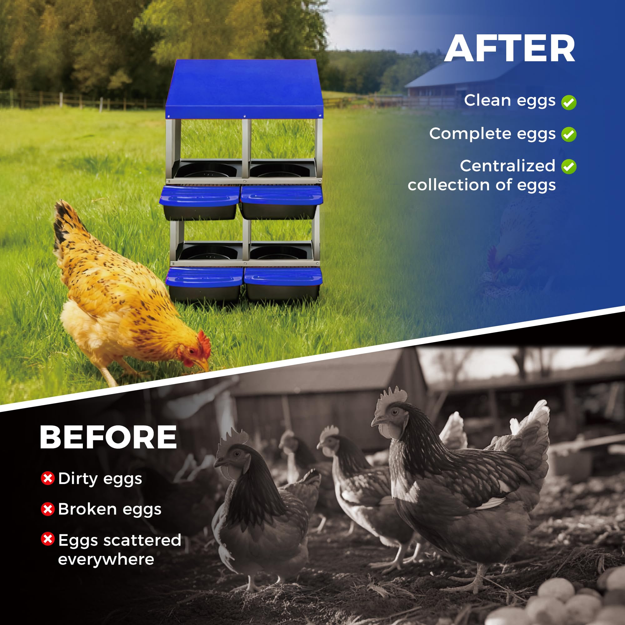 Garvee 4-Compartment 2-Tier Chicken Nesting Box – Roll-Away Tray & Support Stand, Blue